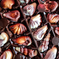 Chocolate shells